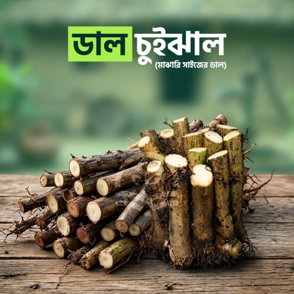 ডাল চুইঝাল | Chuijhal – deshitan.com