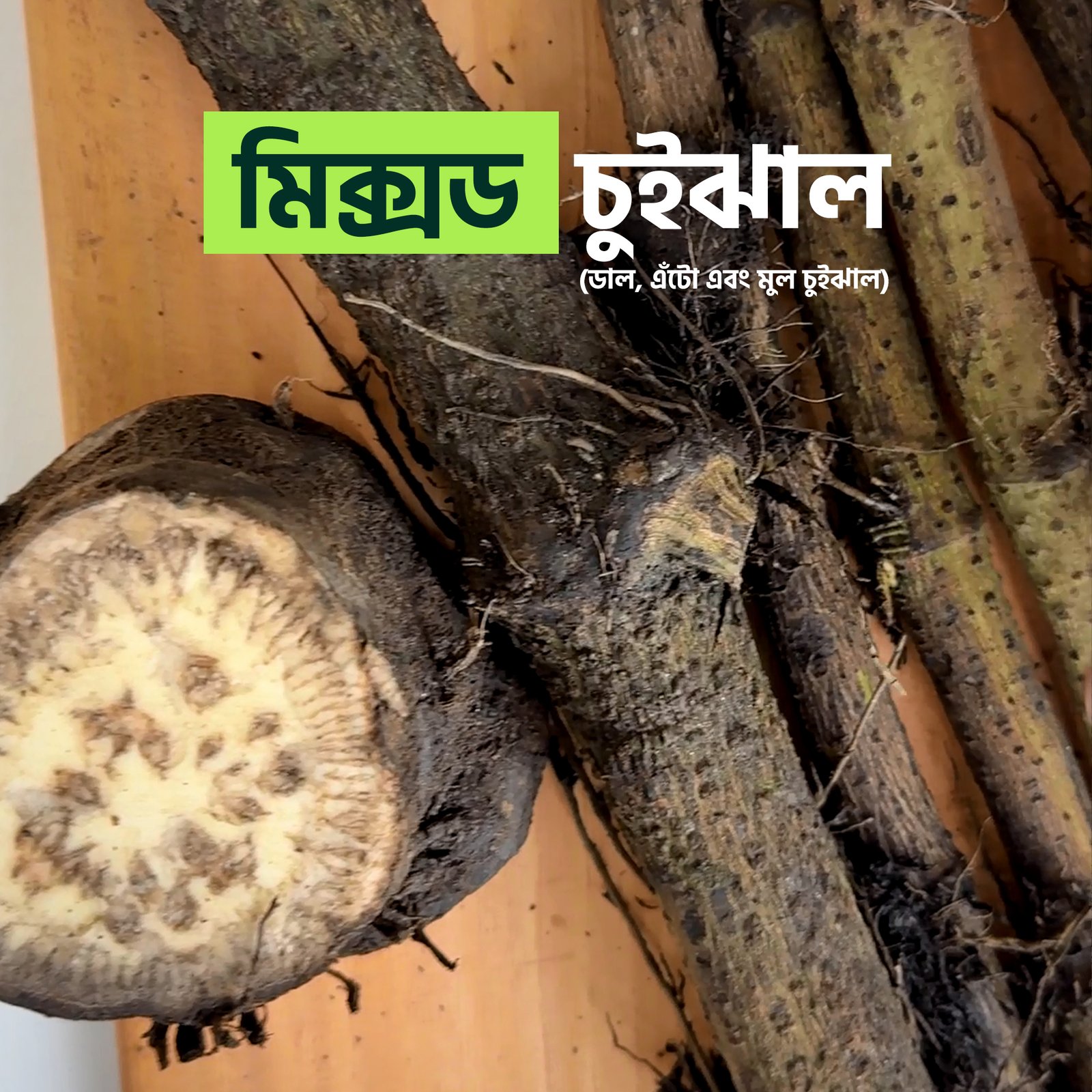 মিক্সড চুইঝাল